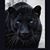 Dody Smeenge's profile image