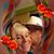 Coleen Corey-Frankiewicz's profile image