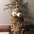 William Jay Burum's profile image