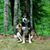 Lynne Phillipson's profile image