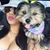 Lily Cortes's profile image
