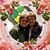 Lynn Rick Briese's profile image
