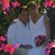 Tina Schneider Gibbins's profile image