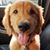 Jessica Hummert Fromme's profile image