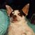 Shelby Alderson's profile image