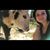 Ashley Brooke Fail's profile image