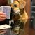 Kimberly Hoover-Robinson's profile image