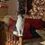 Barbara Shreffler's profile image