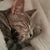 Karen Litzinger Blevins's profile image