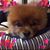 Linda Wolfe's profile image