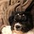 Nadine Frey-taylor's profile image