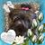 Julia Smail Reck's profile image
