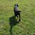 Courtney Wallace Chambliss's profile image