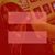 Annemarie Carangelo's profile image
