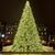 Jamie Rothe Roeder's profile image