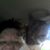 Valerie Triplett's profile image