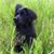 Charlotte Gamar's profile image
