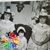 Theresa Harris Bullock's profile image