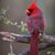 Mary Sanders's profile image