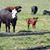 Mary Ann Grybowski's profile image