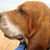 Rufo Salaverria's profile image