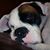 Brenda Marotto's profile image