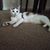 Colleen-Bill Woodall's profile image