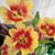 Elizabeth Atkinson's profile image