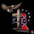 Ann Harper's profile image