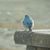 Kate Stowell's profile image
