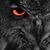 Tom Wise's profile image