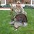 Terry Brown's profile image