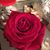 Toeandalli Meaux's profile image