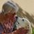 Jacinta Hart Kehoe's profile image