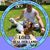 Carlos Socorro-Garner's profile image