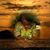 Ollie Williams's profile image