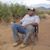 Adrian Ortiz's profile image
