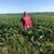 Jerod Mathiasen's profile image
