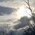Kathy Harrison's profile image