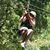 Sheri Felts's profile image