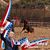 Susan Olszewski Callahan's profile image
