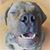 Michael Kelley's profile image
