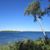 Marsha Maynard-Davis's profile image