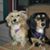 Mary Beth Shipley's profile image