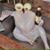 Jeff Williams's profile image