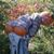 Deborah Cypert's profile image