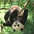 Teresa Brigman's profile image