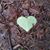 Valerie Falleur's profile image