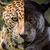 Melissa Warnick's profile image