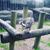 Doreen Helene Kelly's profile image